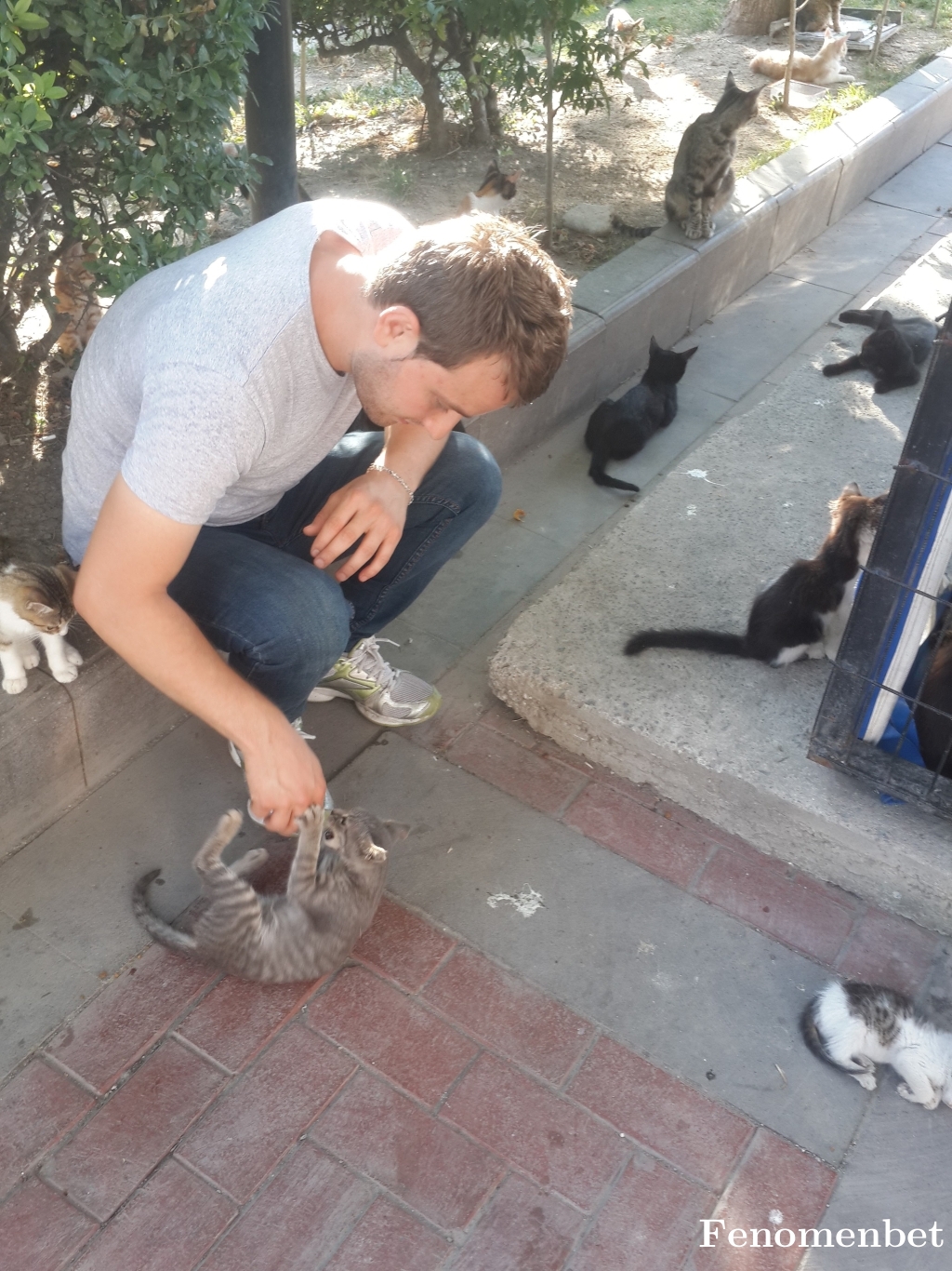 Ahmadalfarra tarafından paylaşıldı