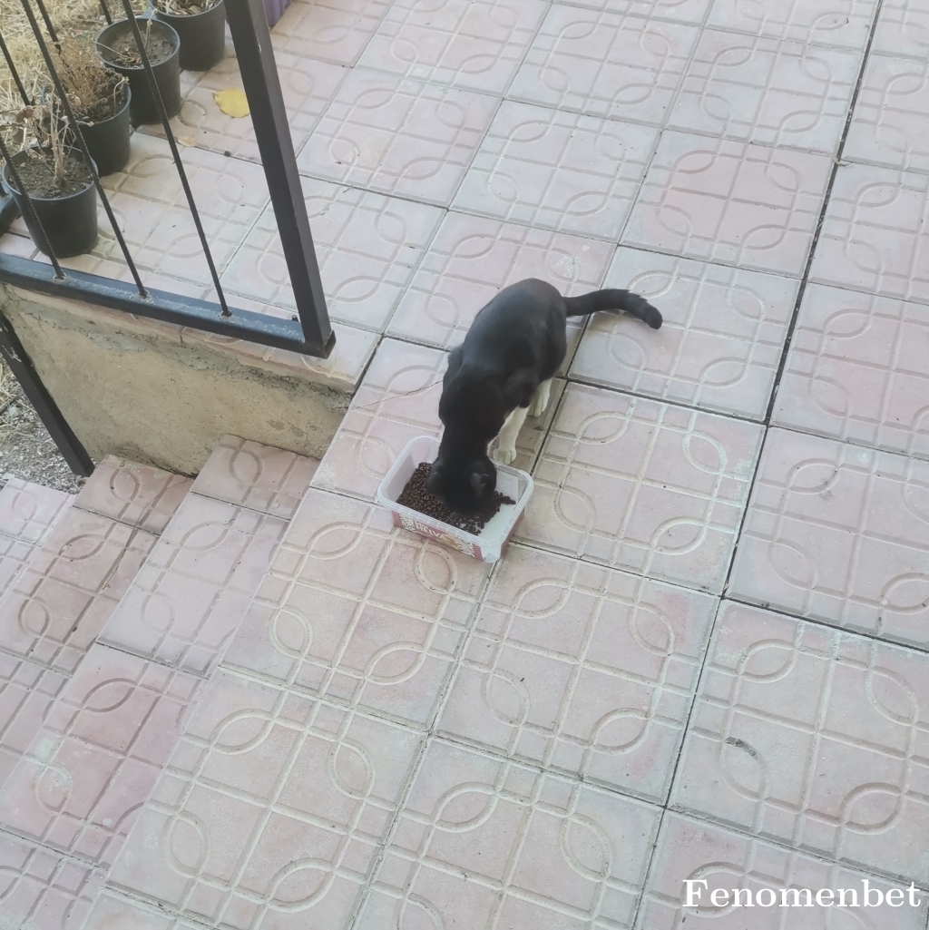 Oguzhan9969 tarafından paylaşıldı