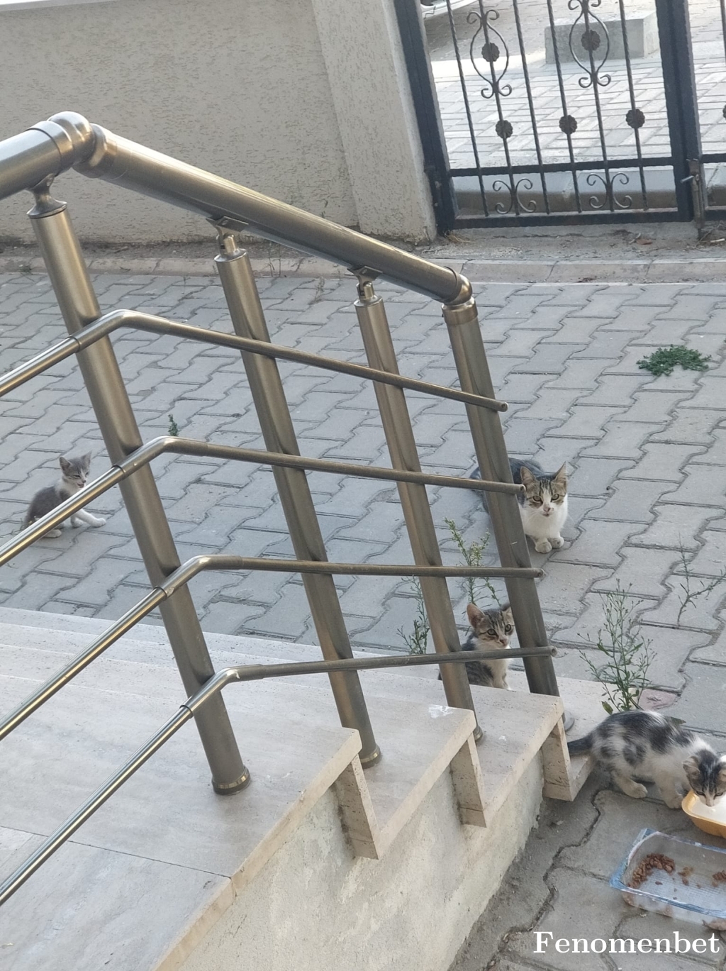 Koray4159 tarafından paylaşıldı