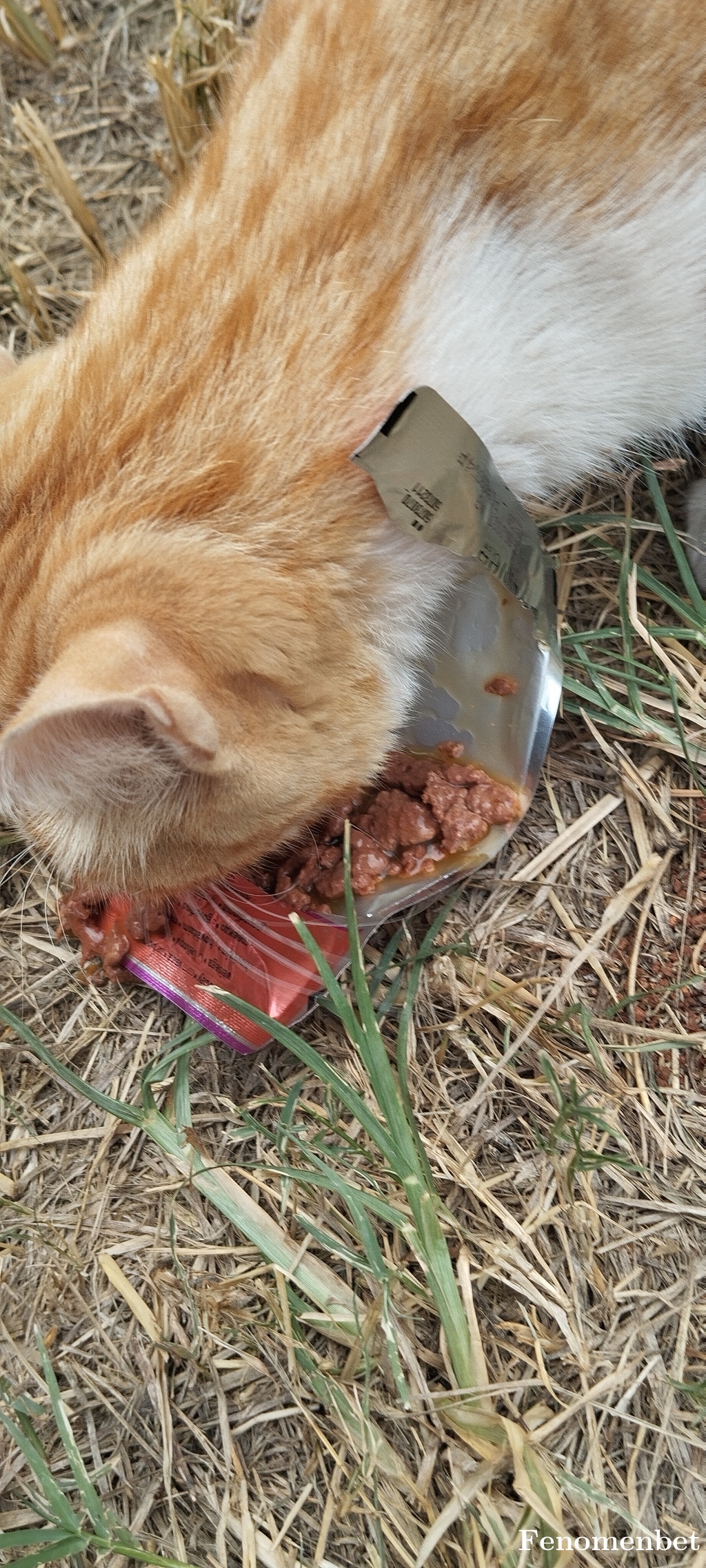 Yusufyakup tarafından paylaşıldı