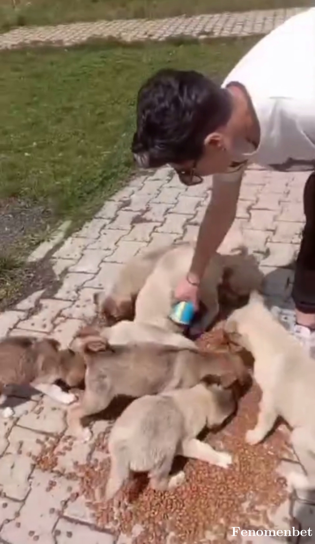 Brkyll tarafından paylaşıldı