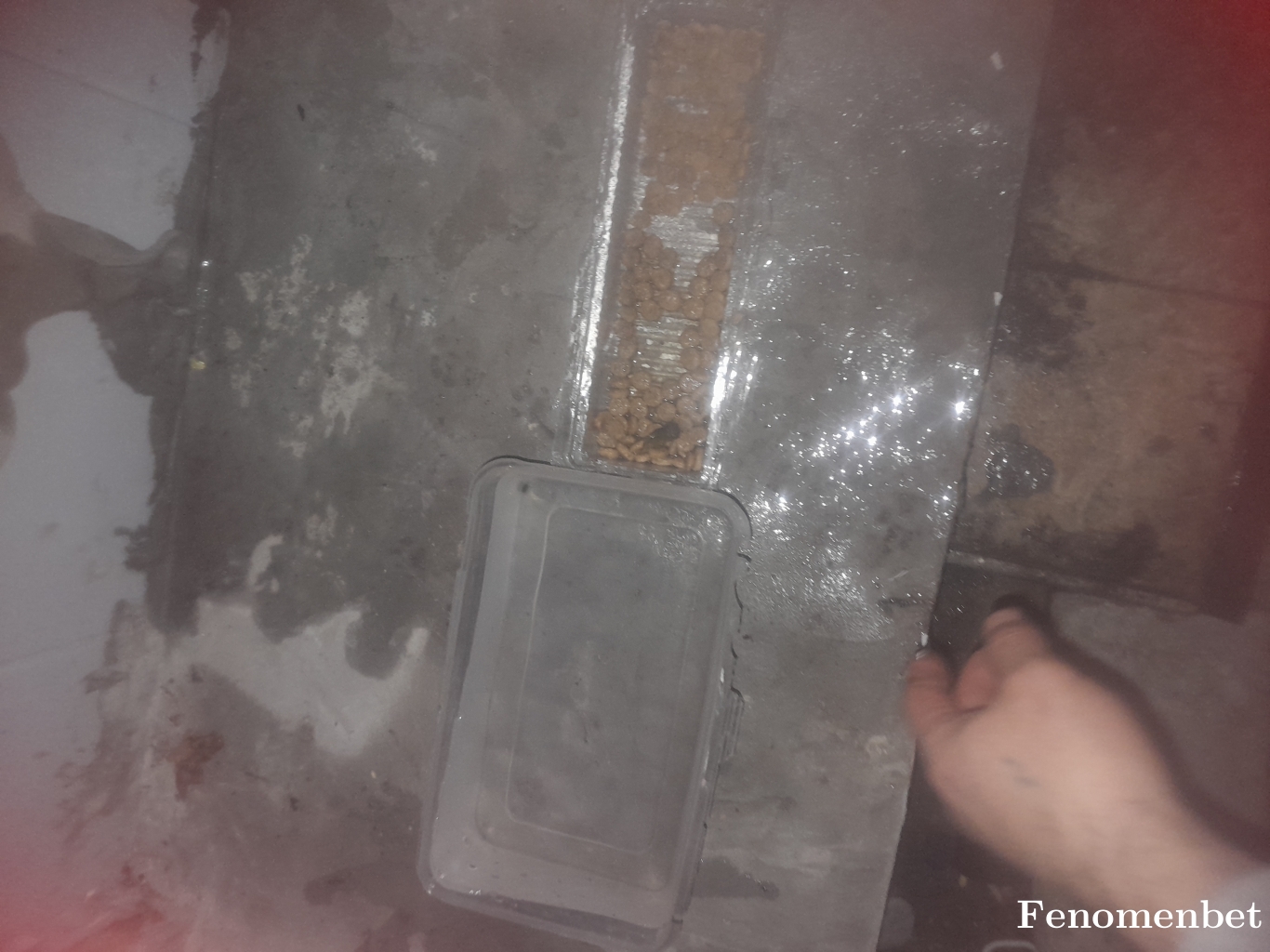 Bolat tarafından paylaşıldı