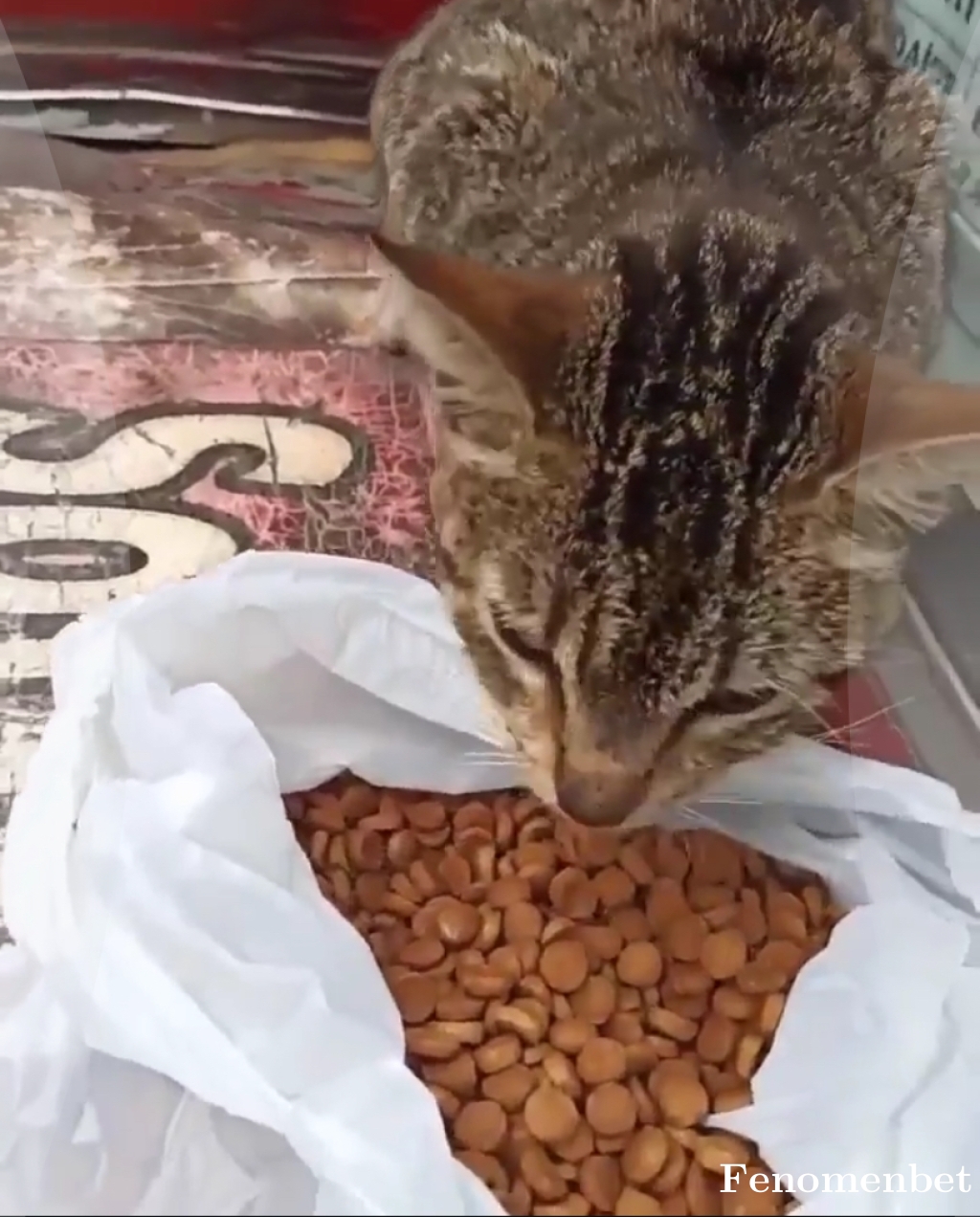 Seymen25 tarafından paylaşıldı