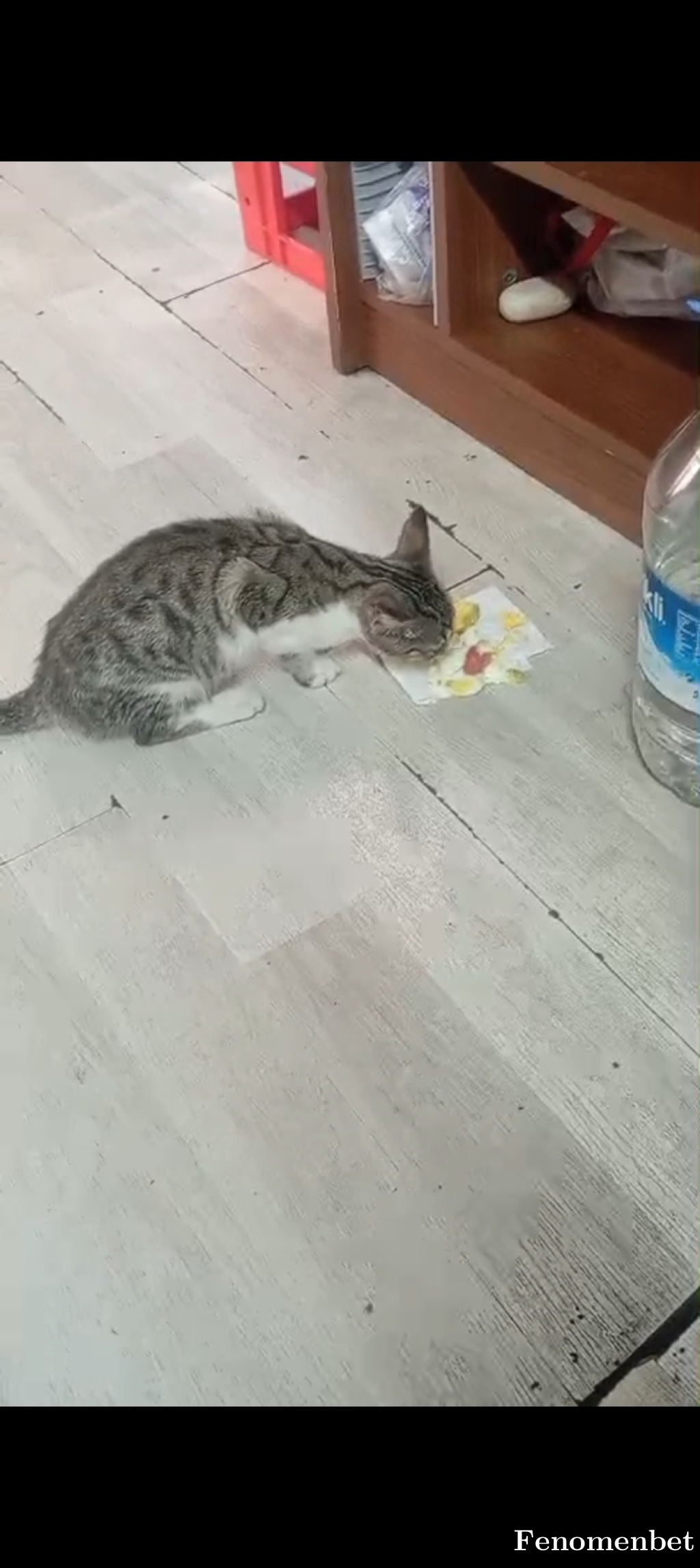 Doguser tarafından paylaşıldı