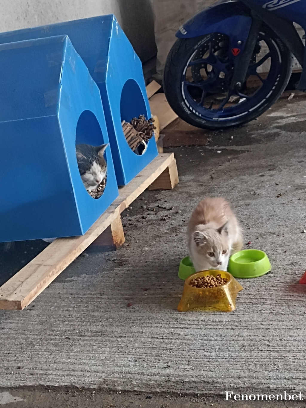 Cimiyy54 tarafından paylaşıldı