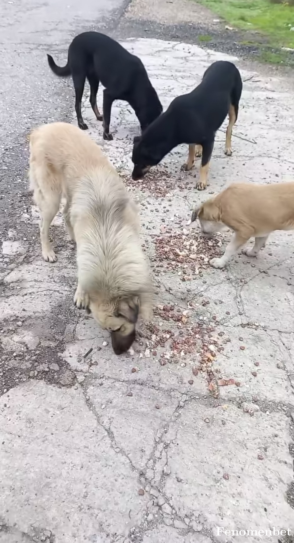 Gsmet1 tarafından paylaşıldı