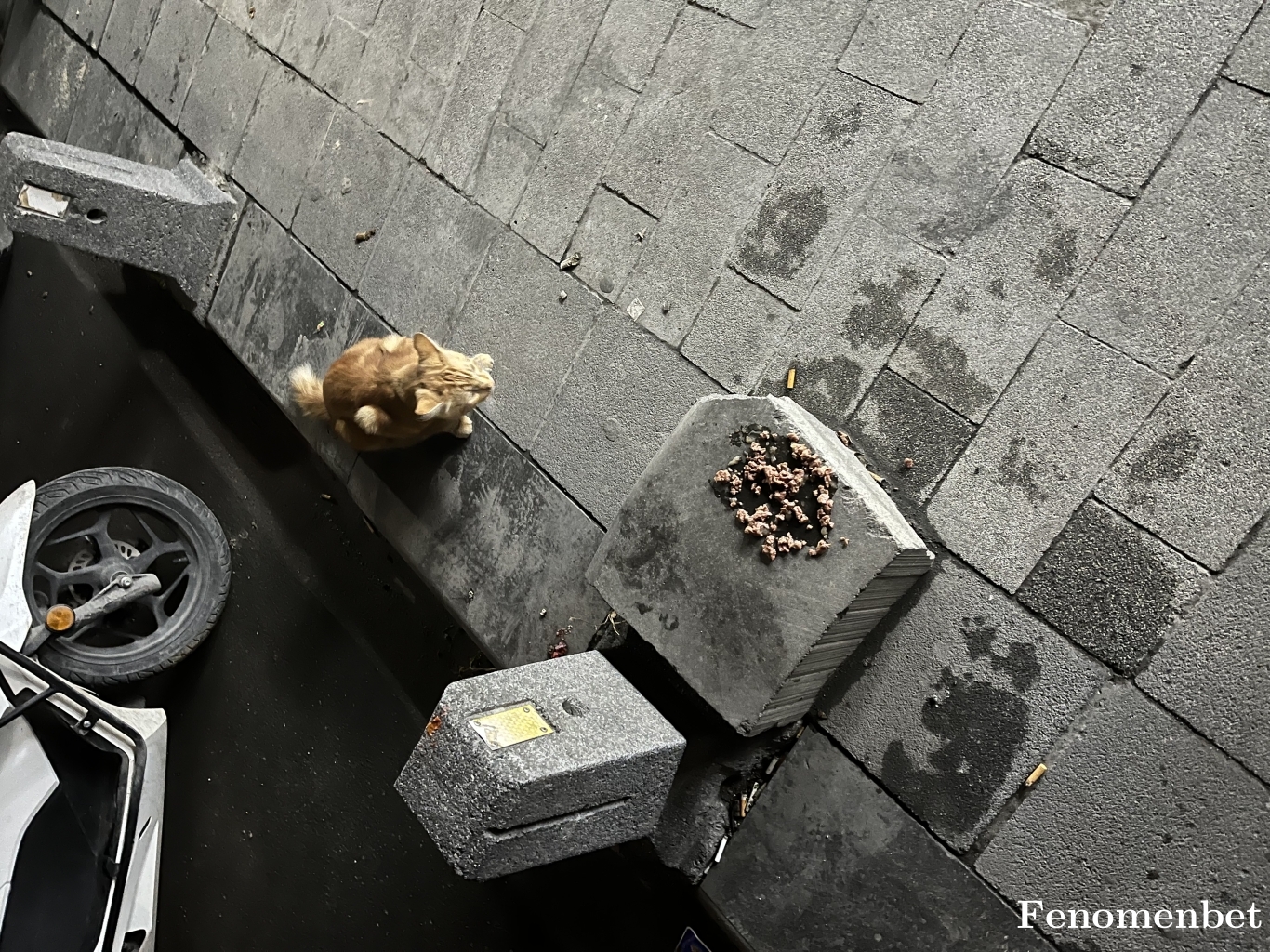 Pars237 tarafından paylaşıldı