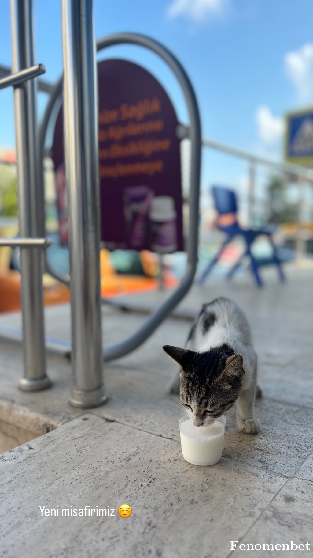 Brhnckmk61 tarafından paylaşıldı