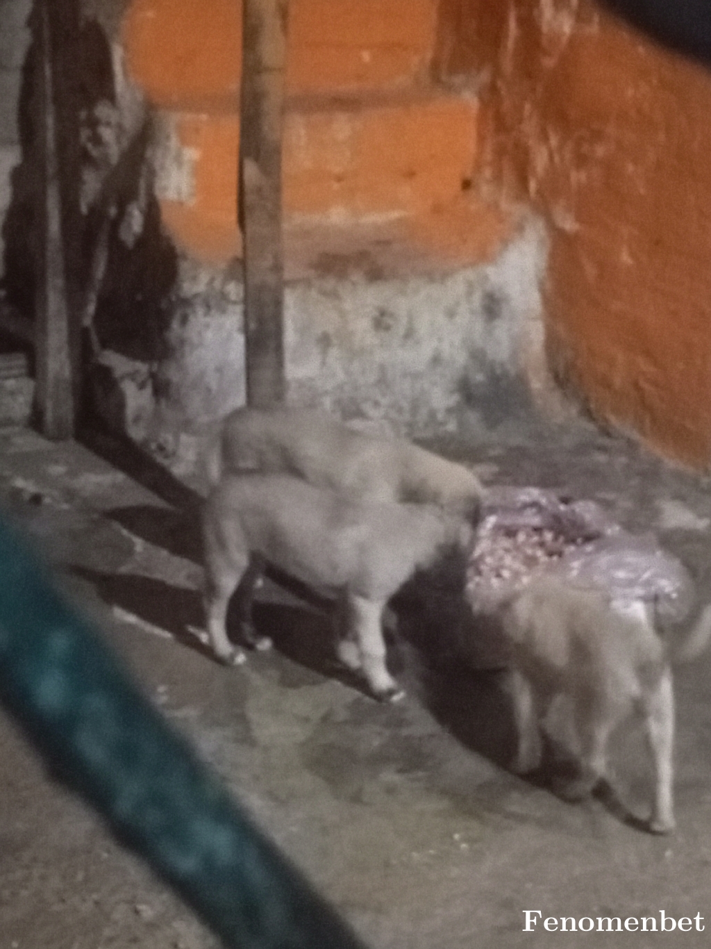 Krmgnrx tarafından paylaşıldı