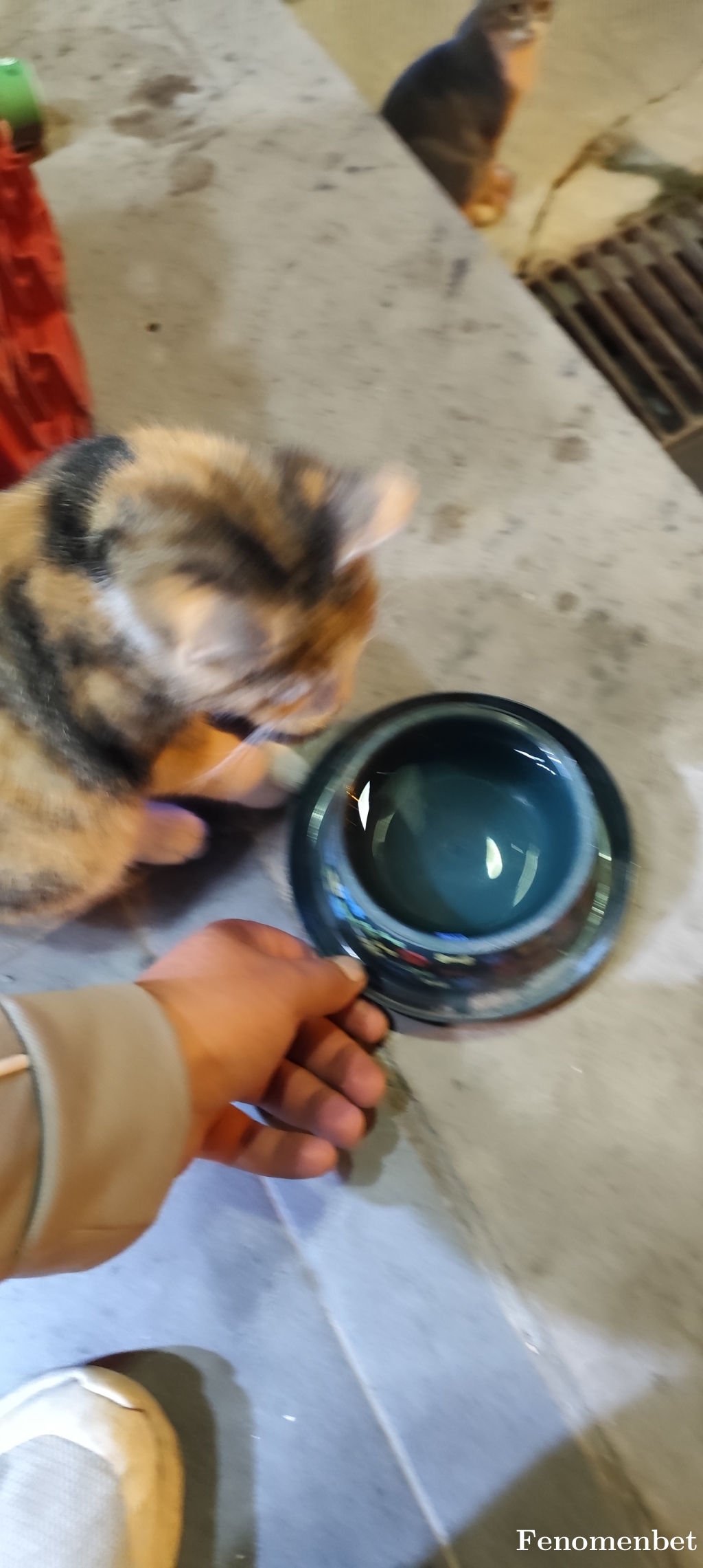 Metin2300 tarafından paylaşıldı