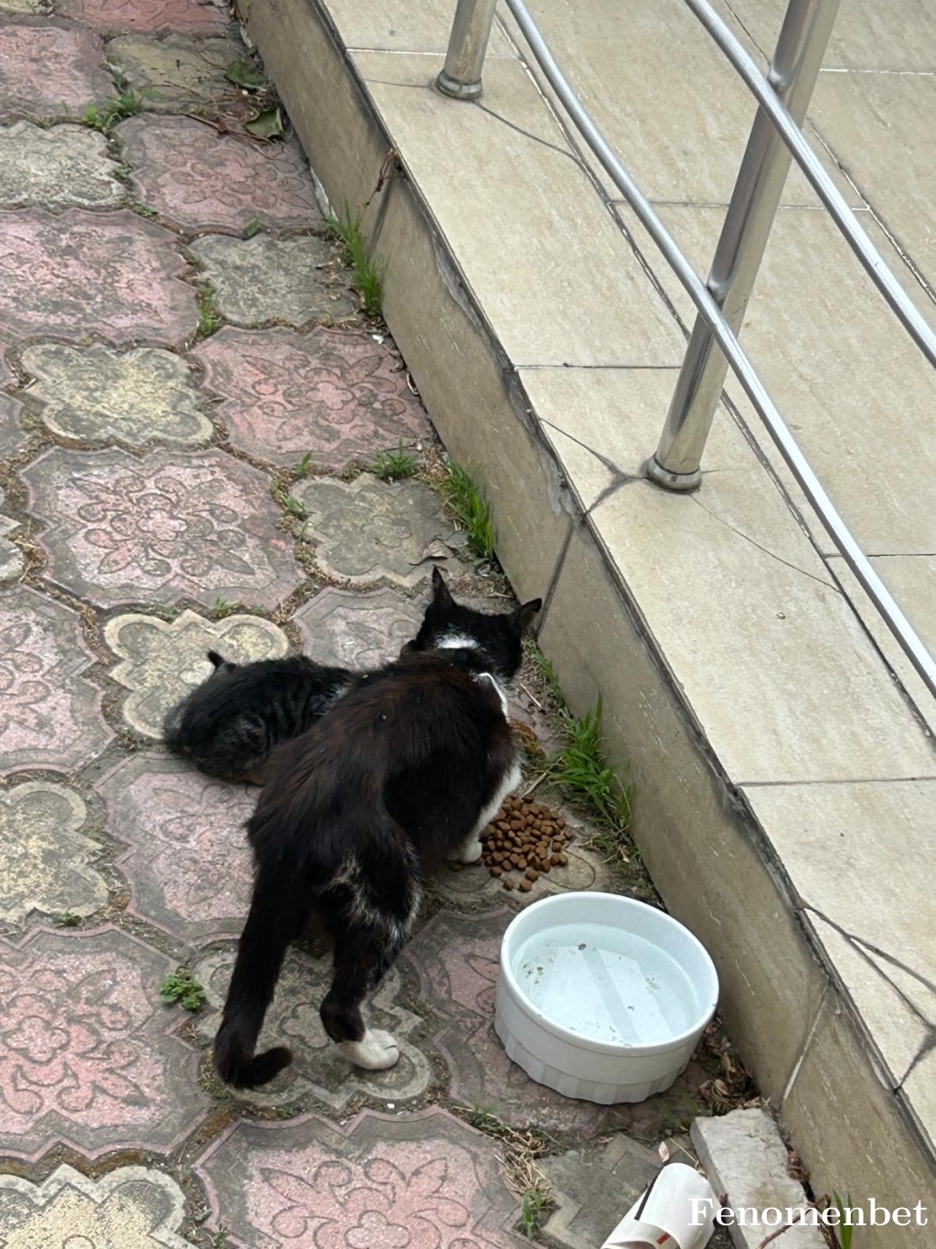 firdevstufi tarafından paylaşıldı