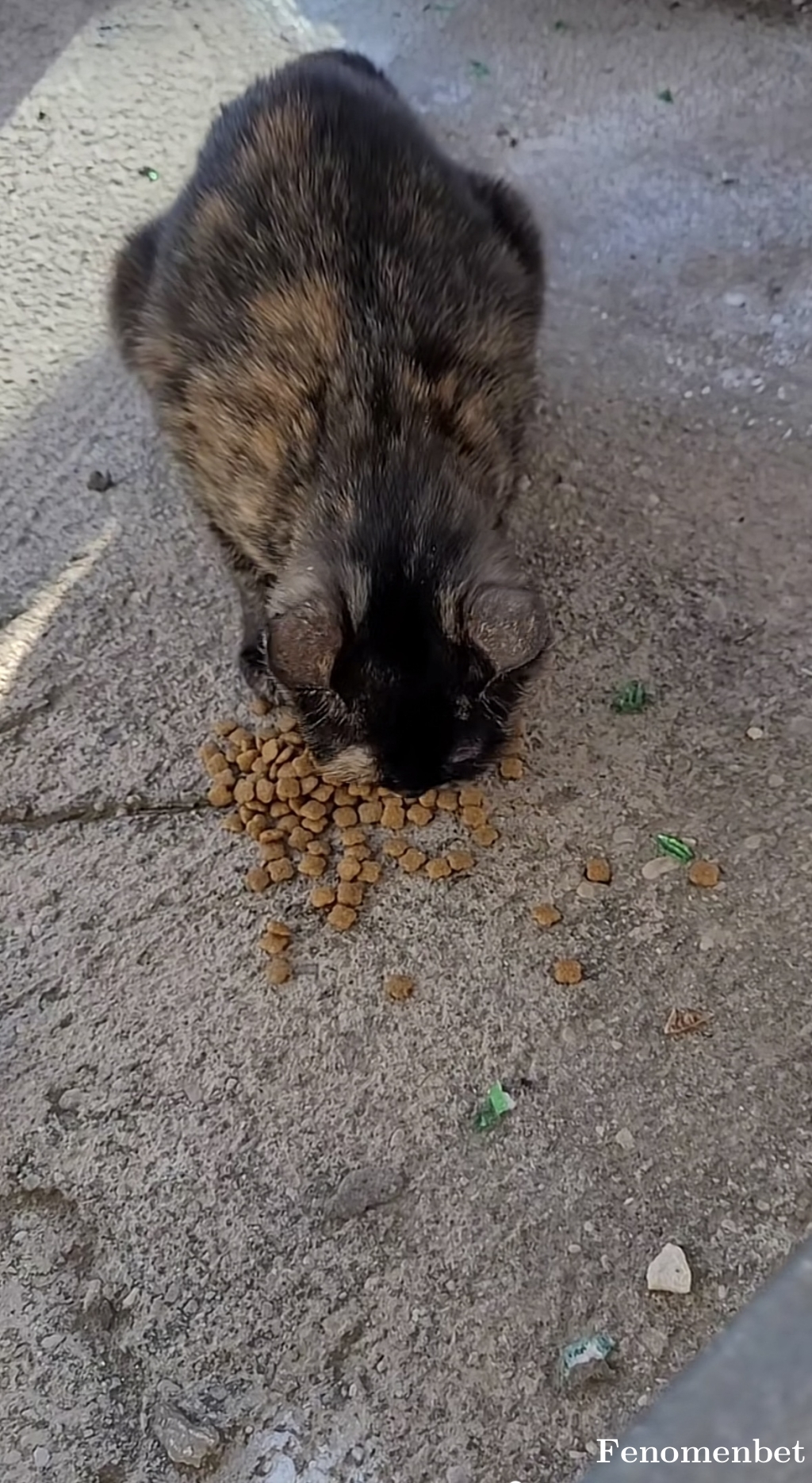 brnzngn56 tarafından paylaşıldı