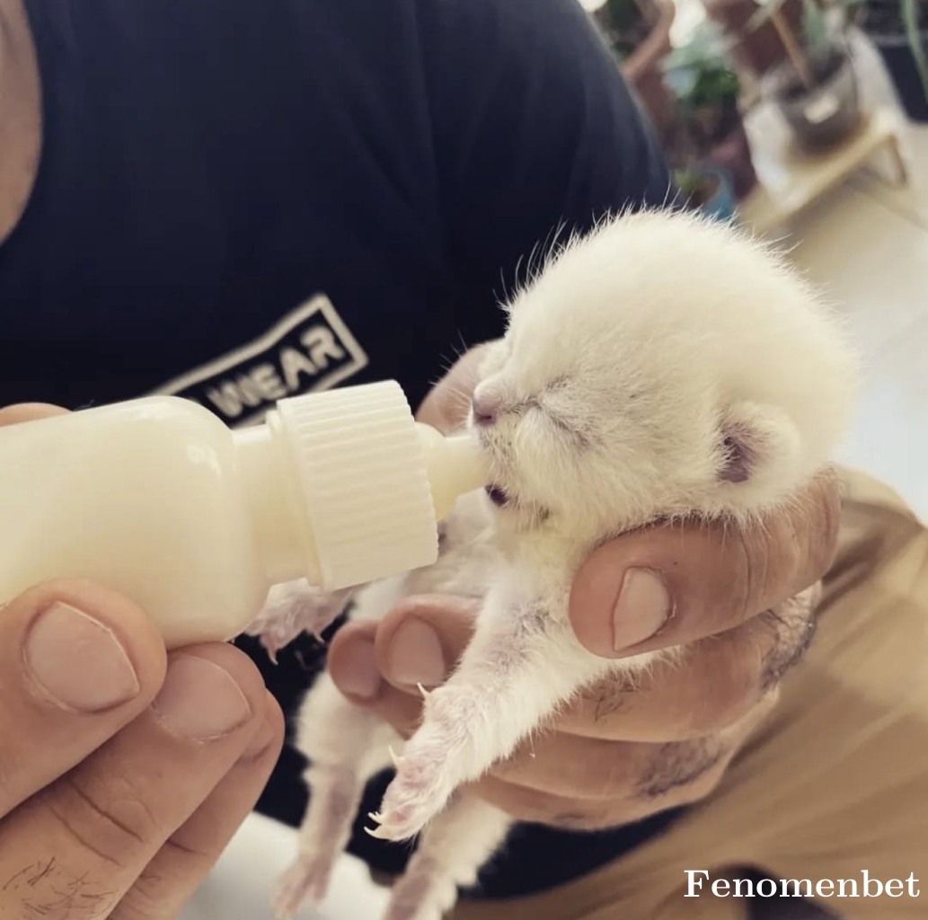 Ugurovski tarafından paylaşıldı