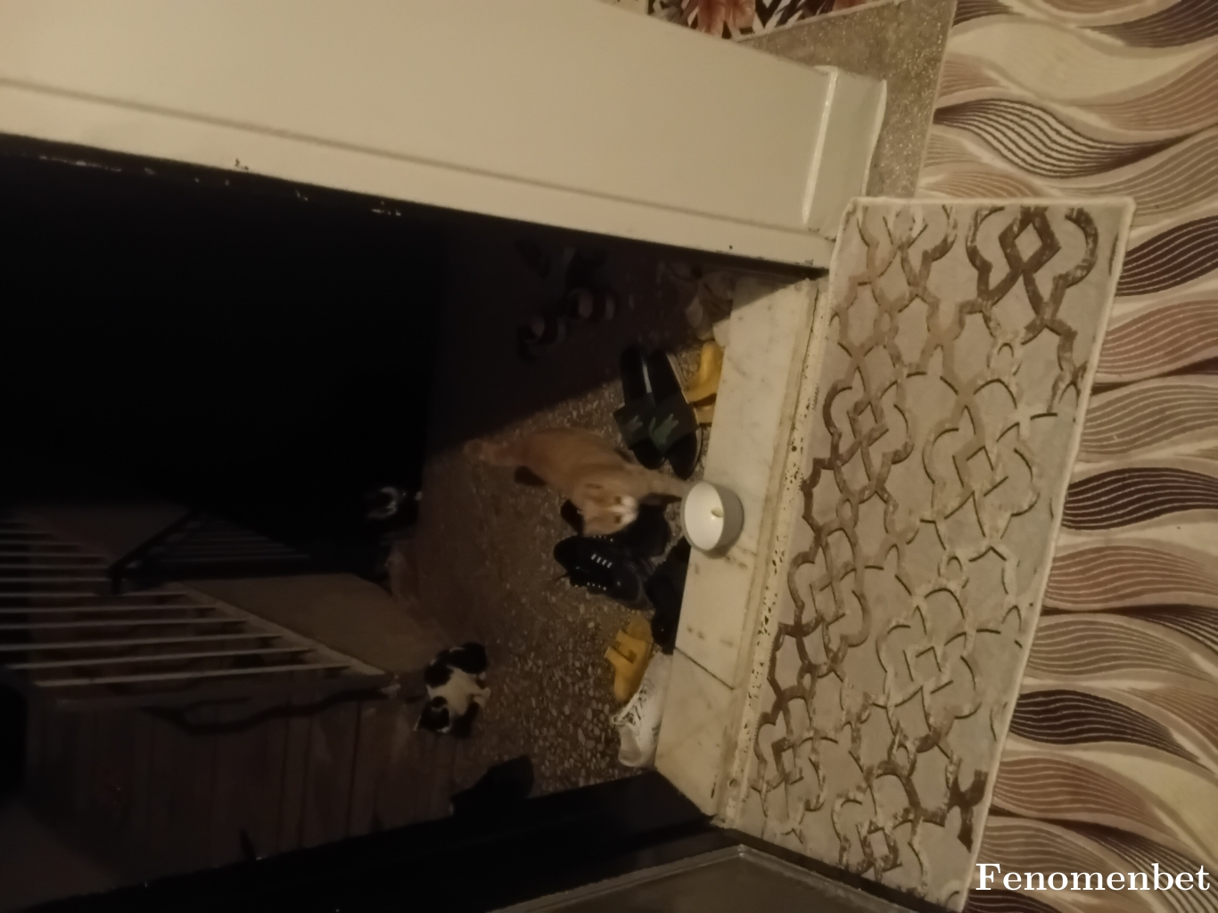 Metincakir357 tarafından paylaşıldı
