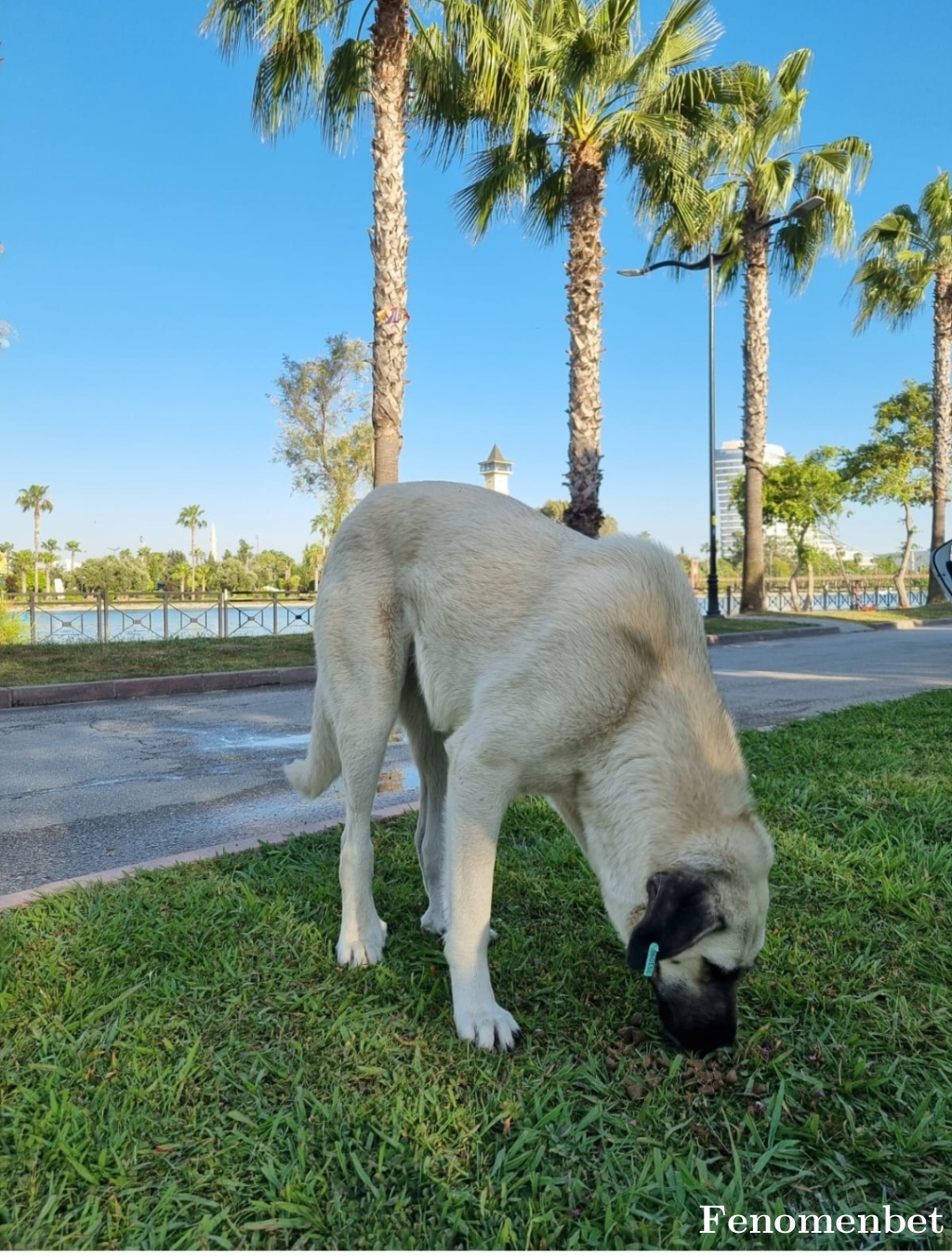 Aygulonur tarafından paylaşıldı