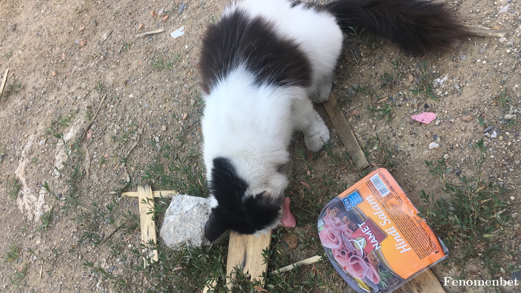Mdelice tarafından paylaşıldı