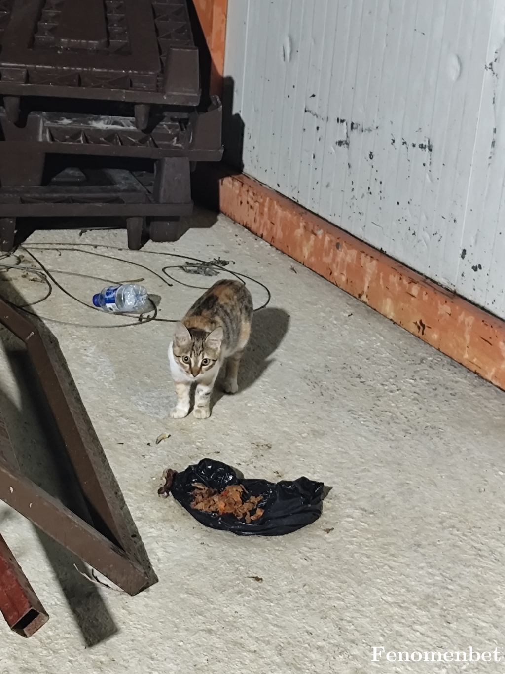 memetncr tarafından paylaşıldı