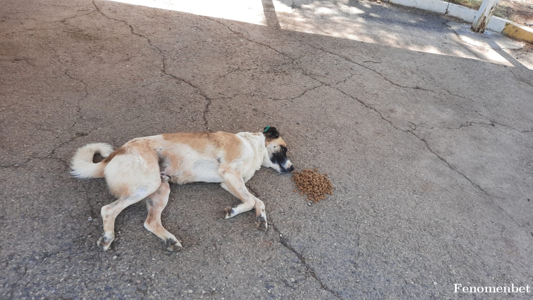 Brnmurat2 tarafından paylaşıldı