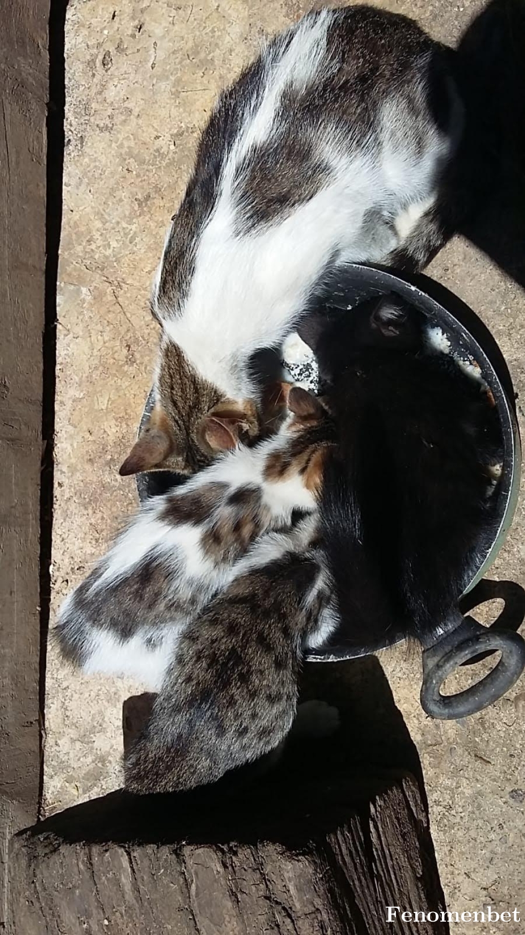 Tgbacr tarafından paylaşıldı