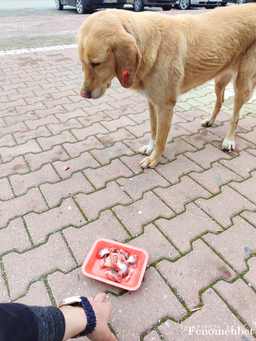 Bariss0642 tarafından paylaşıldı