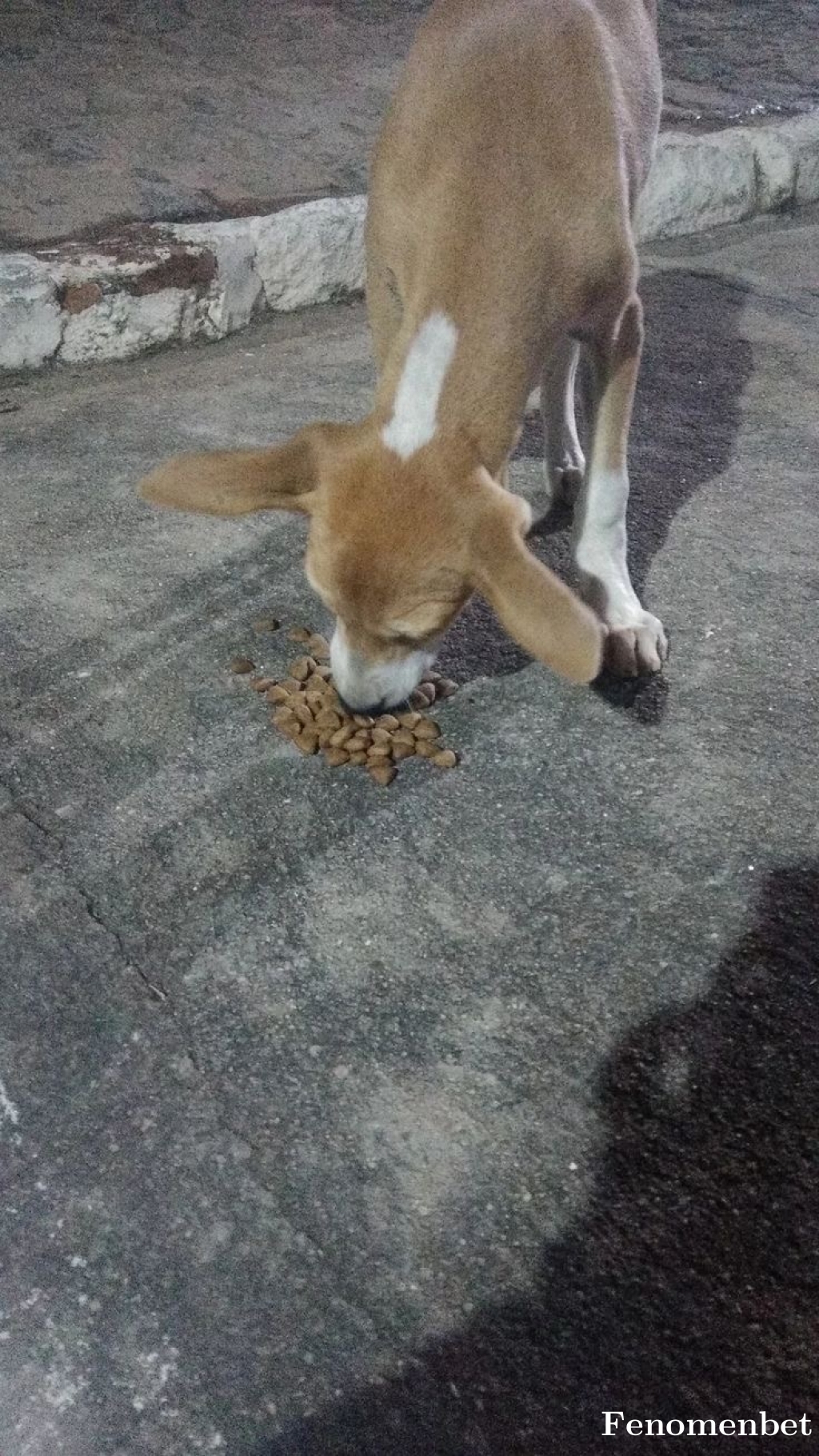 Faruk010 tarafından paylaşıldı