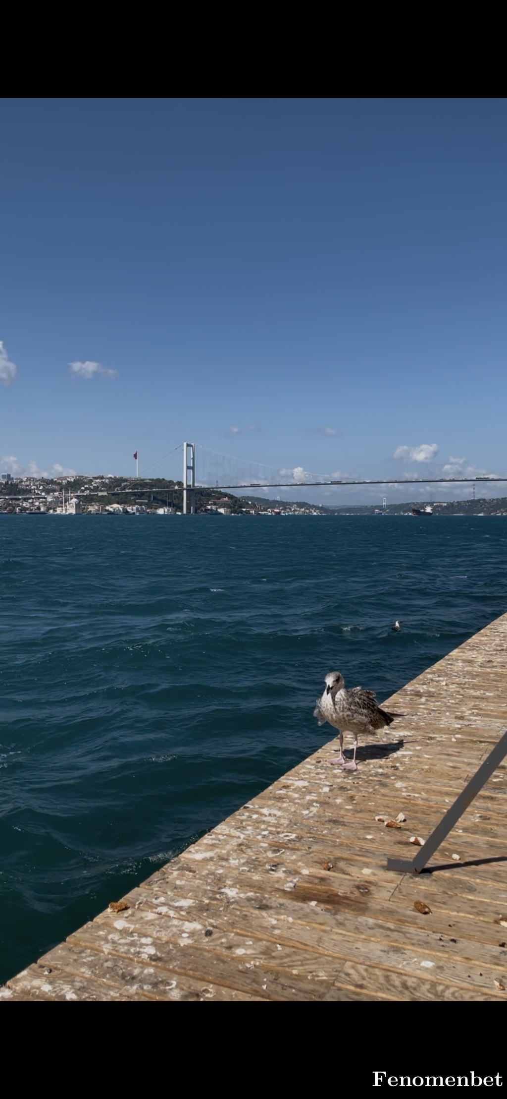 MetinBas tarafından paylaşıldı