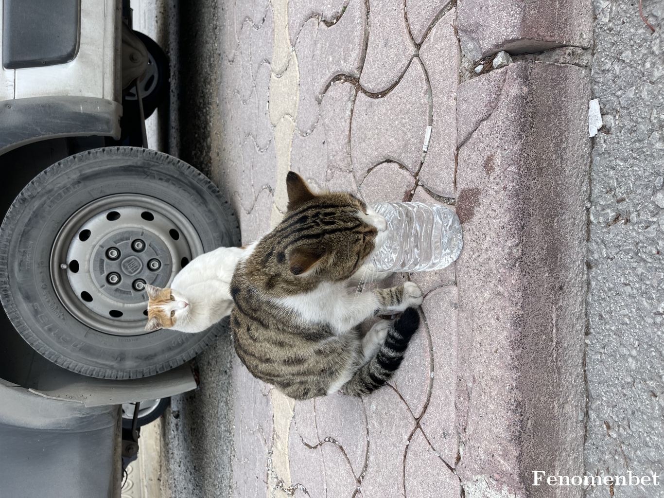Harun4243 tarafından paylaşıldı