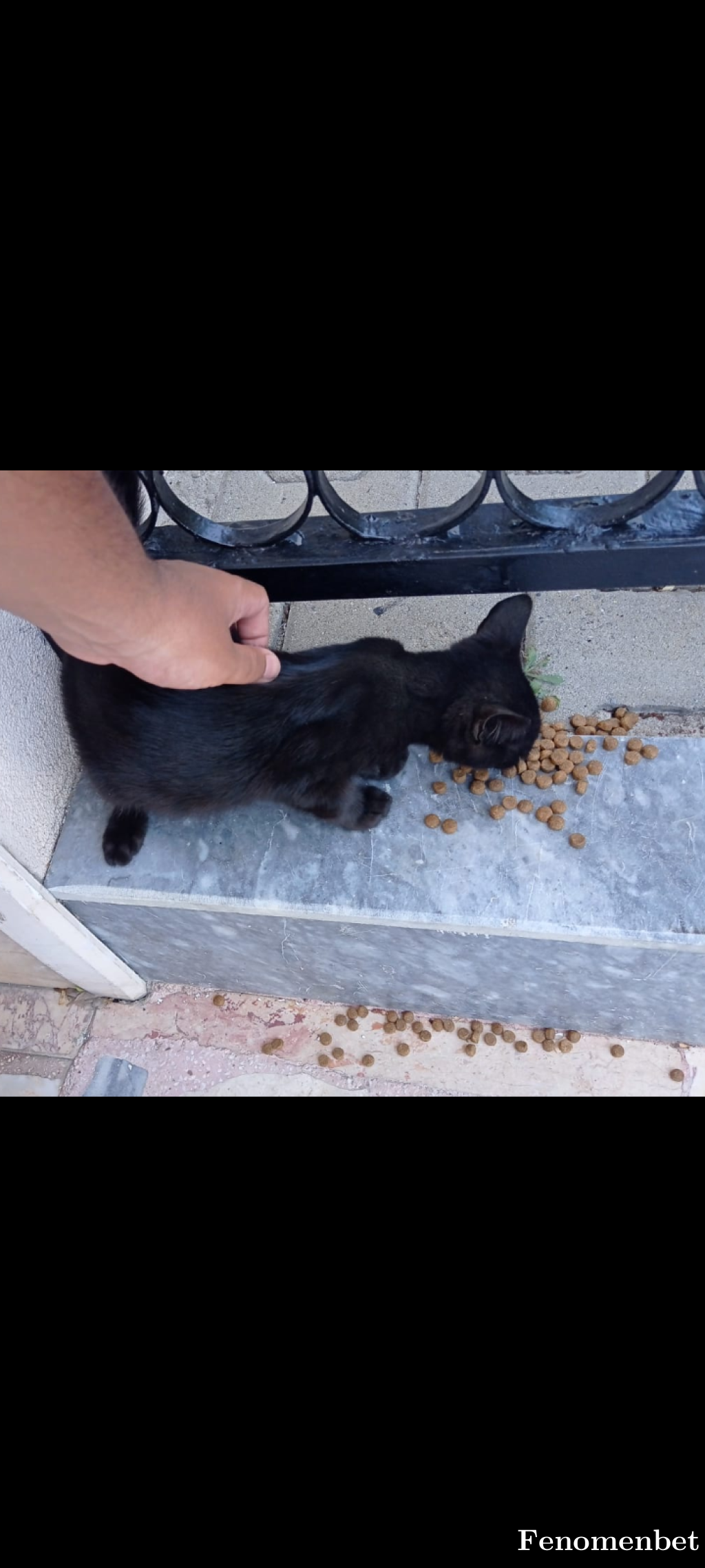 Chinar3162 tarafından paylaşıldı