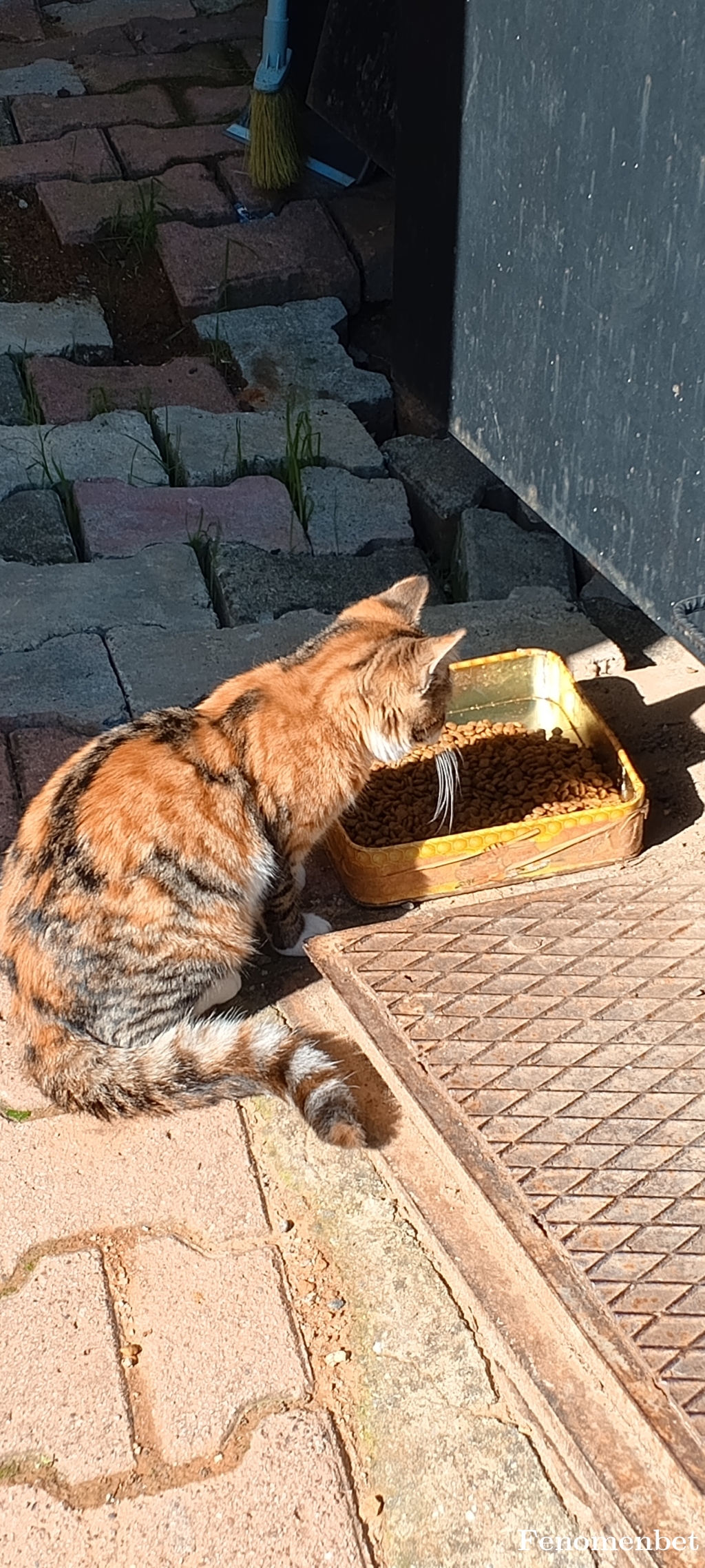 RECEPARSLAN tarafından paylaşıldı