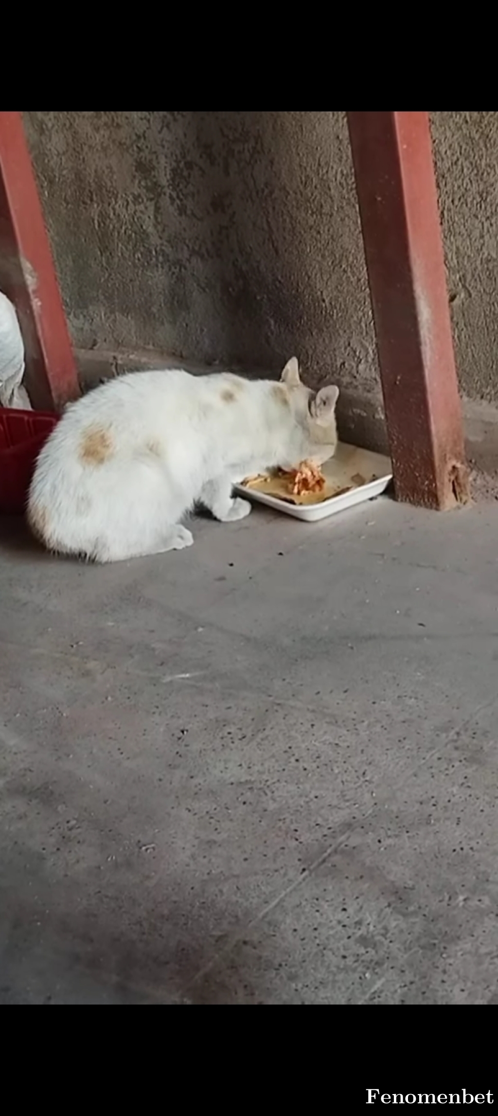 qalatasarayy tarafından paylaşıldı