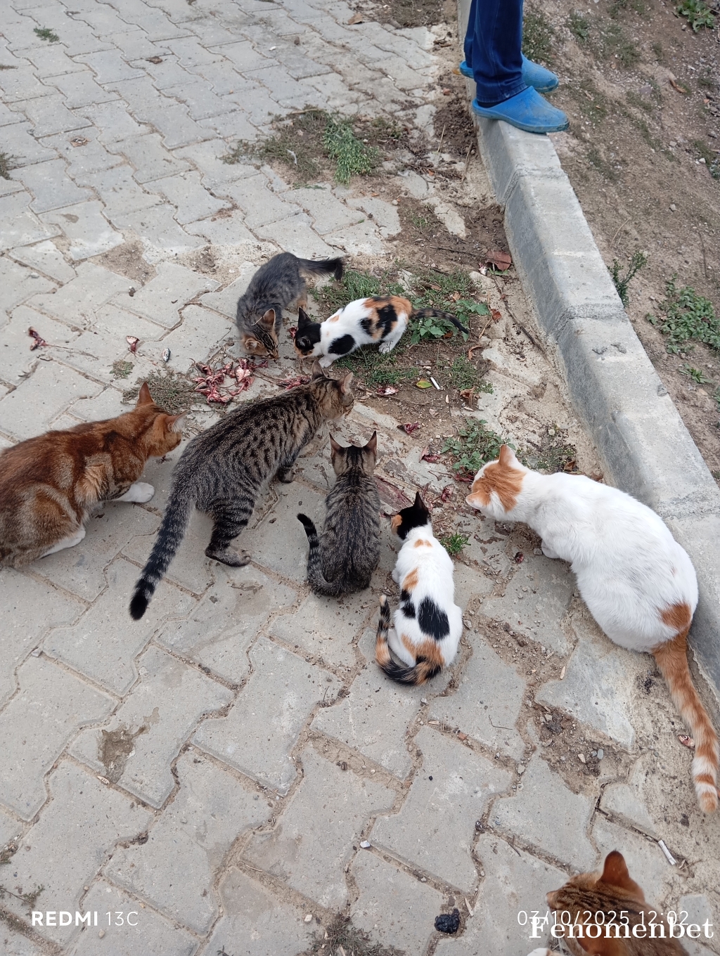 Aliakduman41 tarafından paylaşıldı