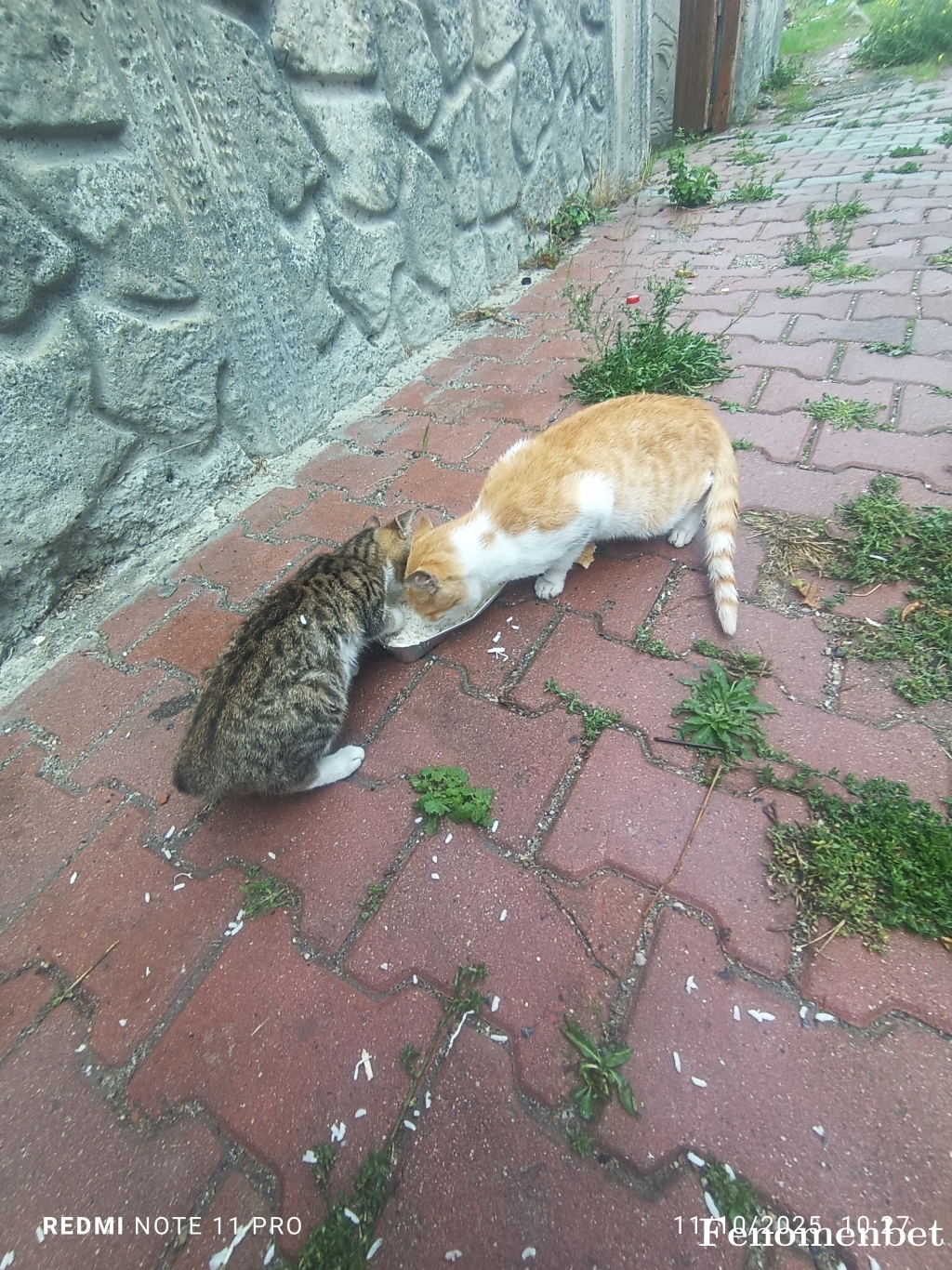 baron68 tarafından paylaşıldı