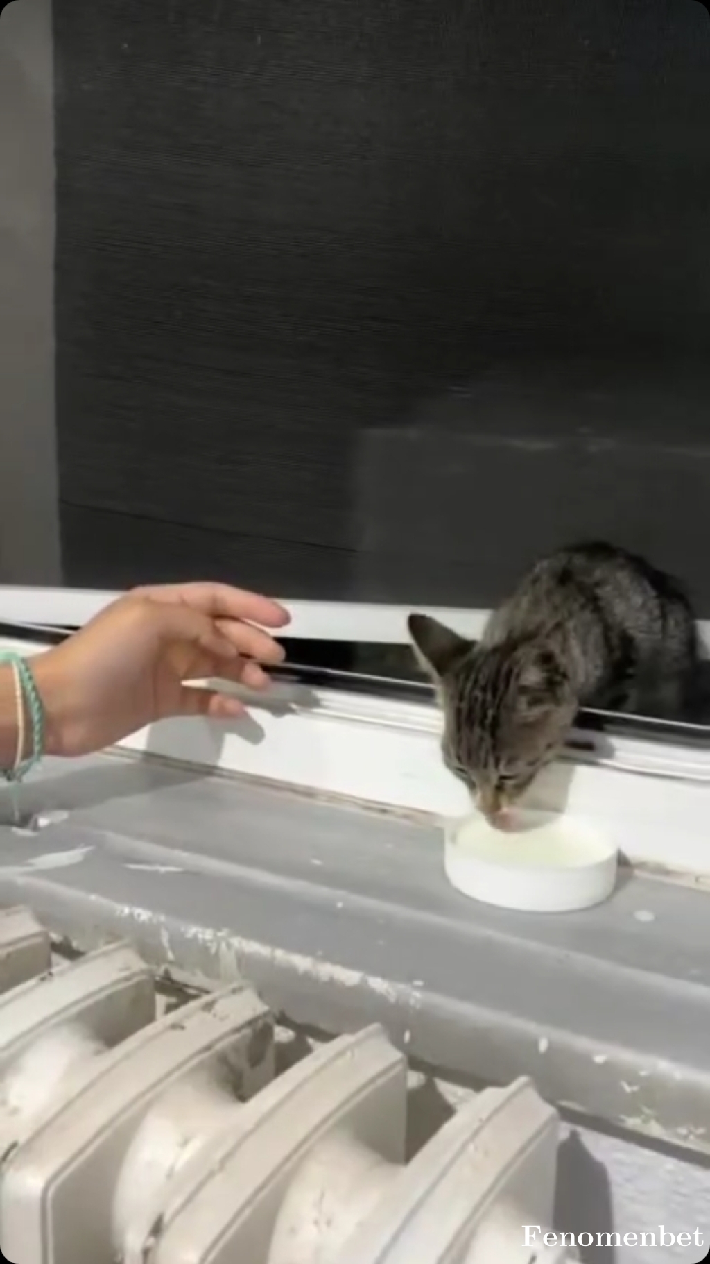 ardaklc6041 tarafından paylaşıldı