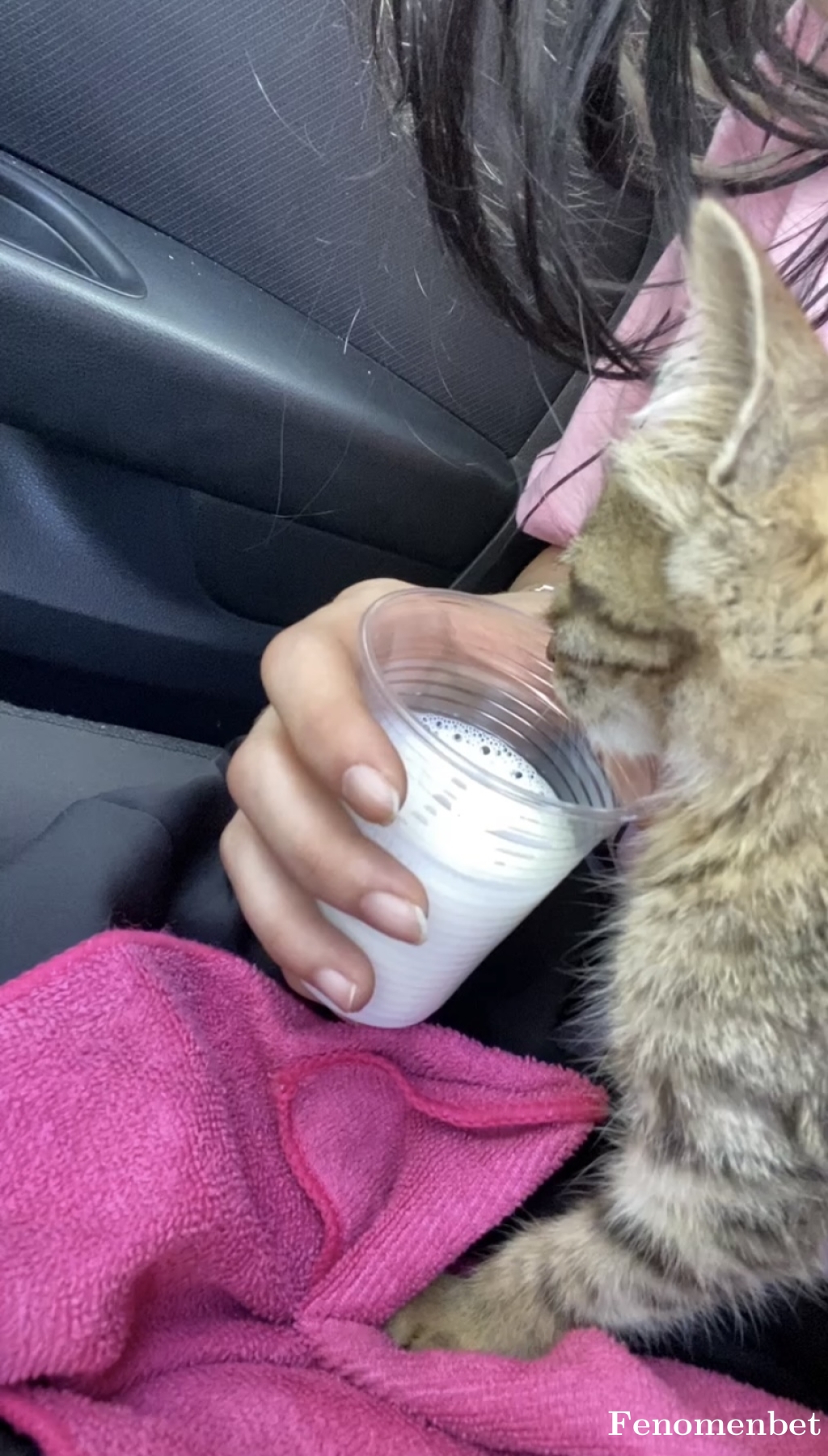 Gulten8181 tarafından paylaşıldı