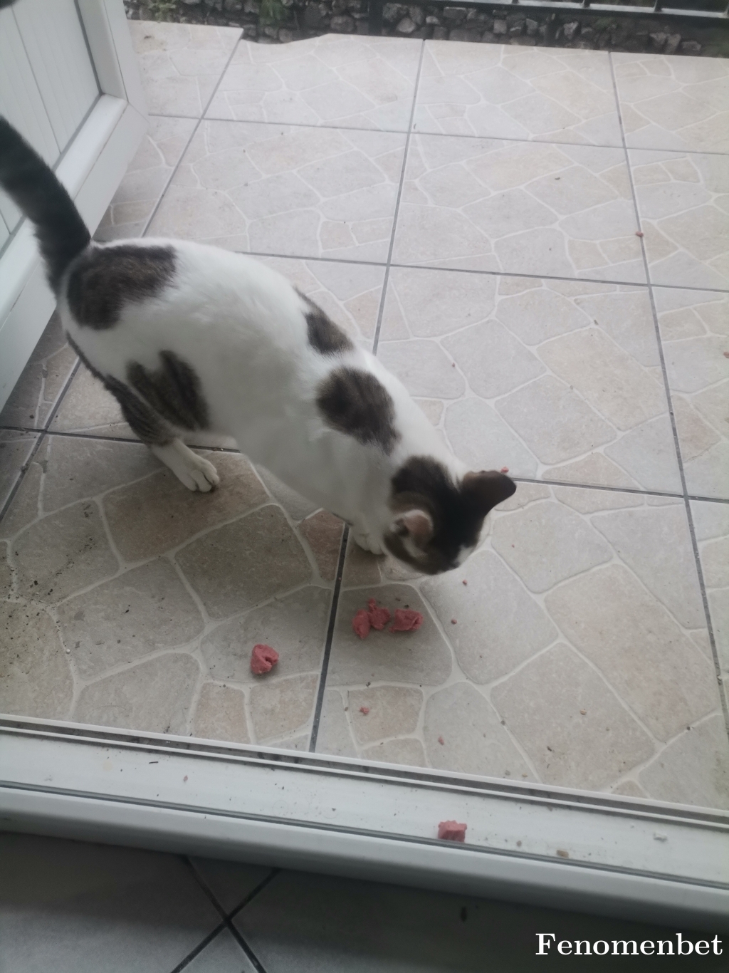 Fer34 tarafından paylaşıldı