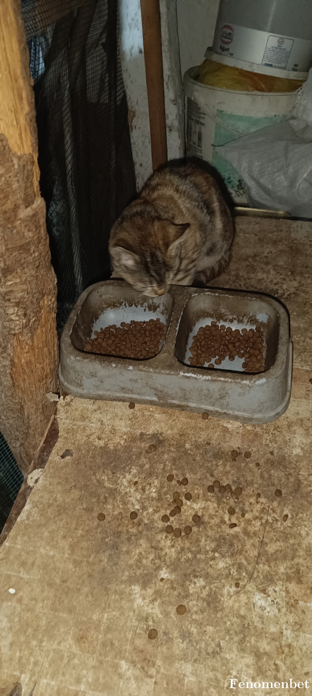 ismailgs1988 tarafından paylaşıldı