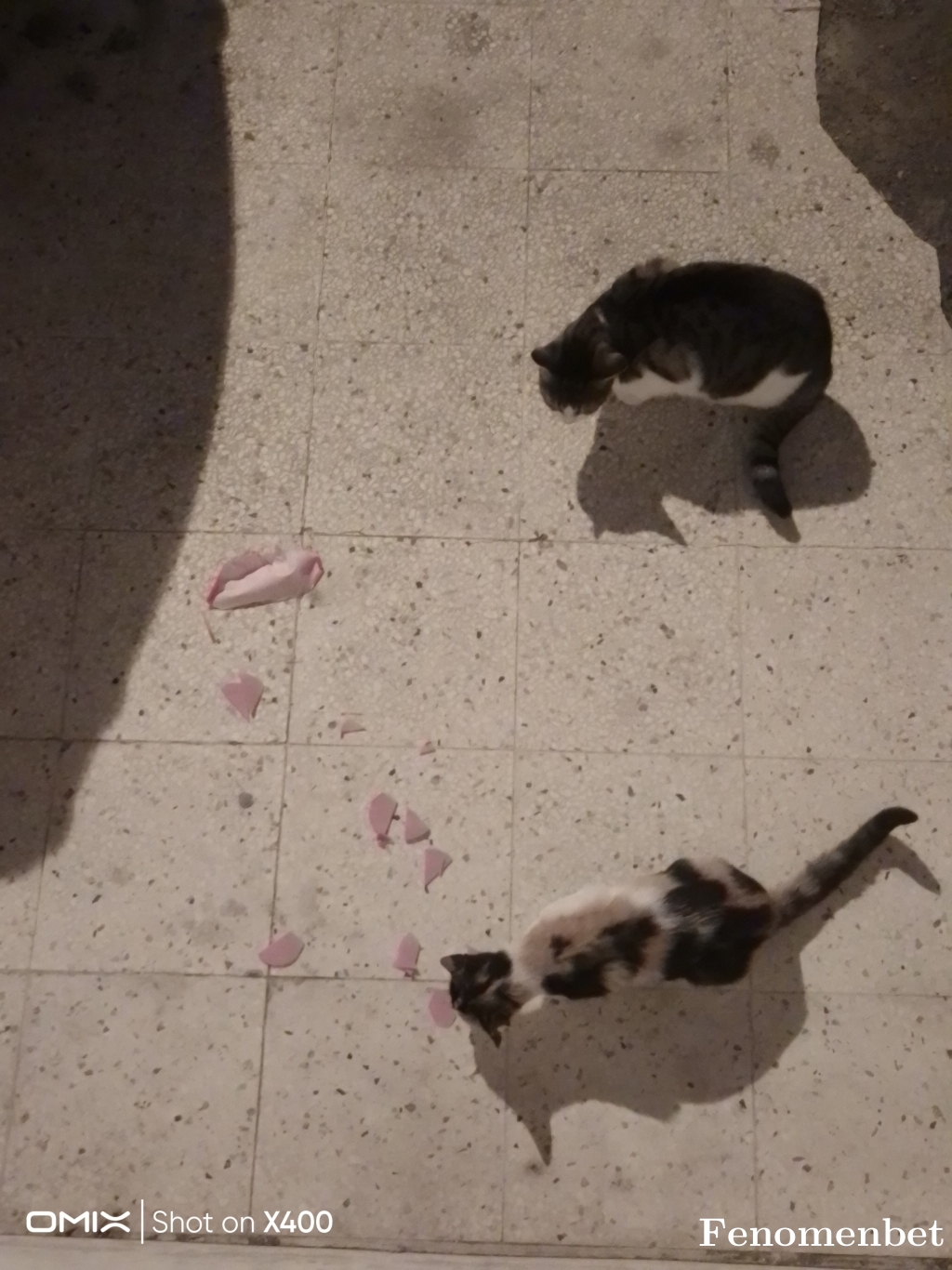 16244893 tarafından paylaşıldı