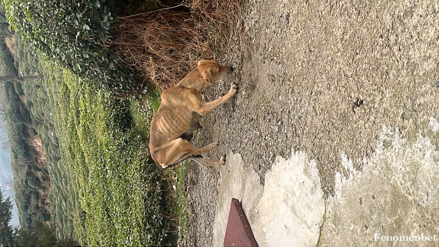 nisakocan tarafından paylaşıldı