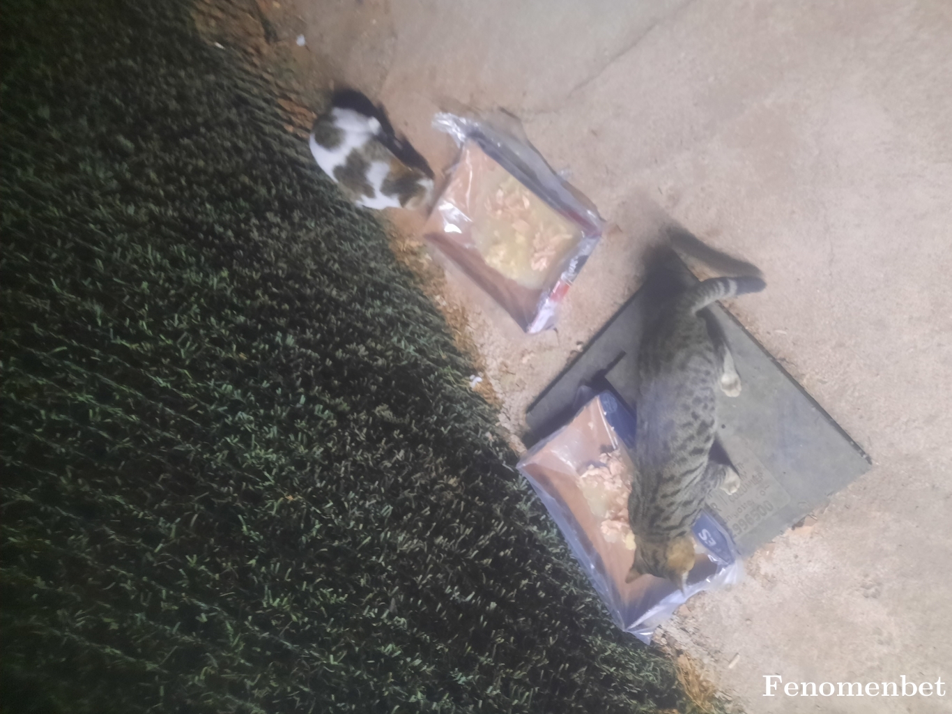 berilberra  tarafından paylaşıldı