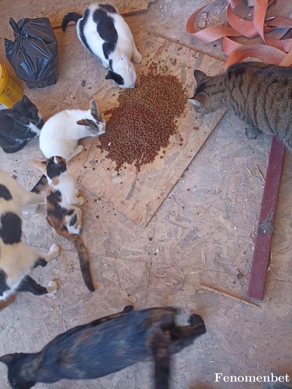 YldzGkhn33 tarafından paylaşıldı