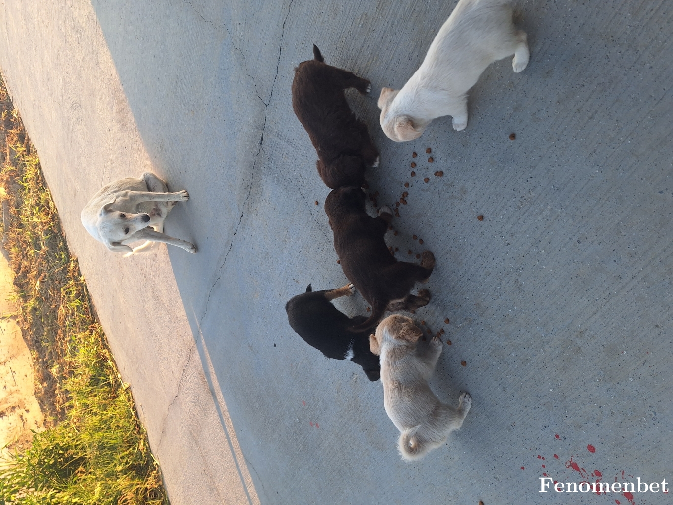 Gurcanstyle  tarafından paylaşıldı