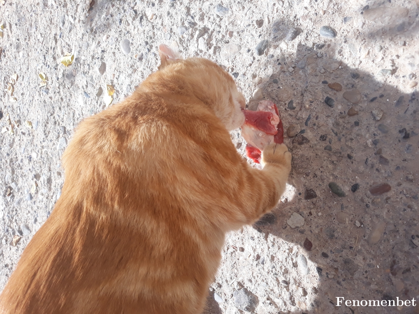 haso50 tarafından paylaşıldı