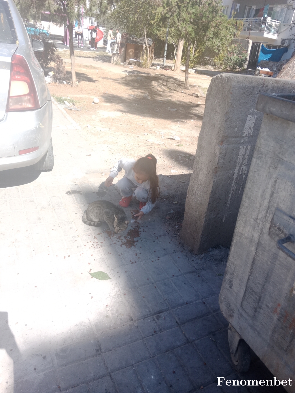 Neroderler7 tarafından paylaşıldı