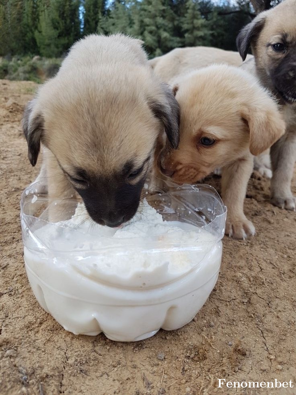 Aslican1 tarafından paylaşıldı
