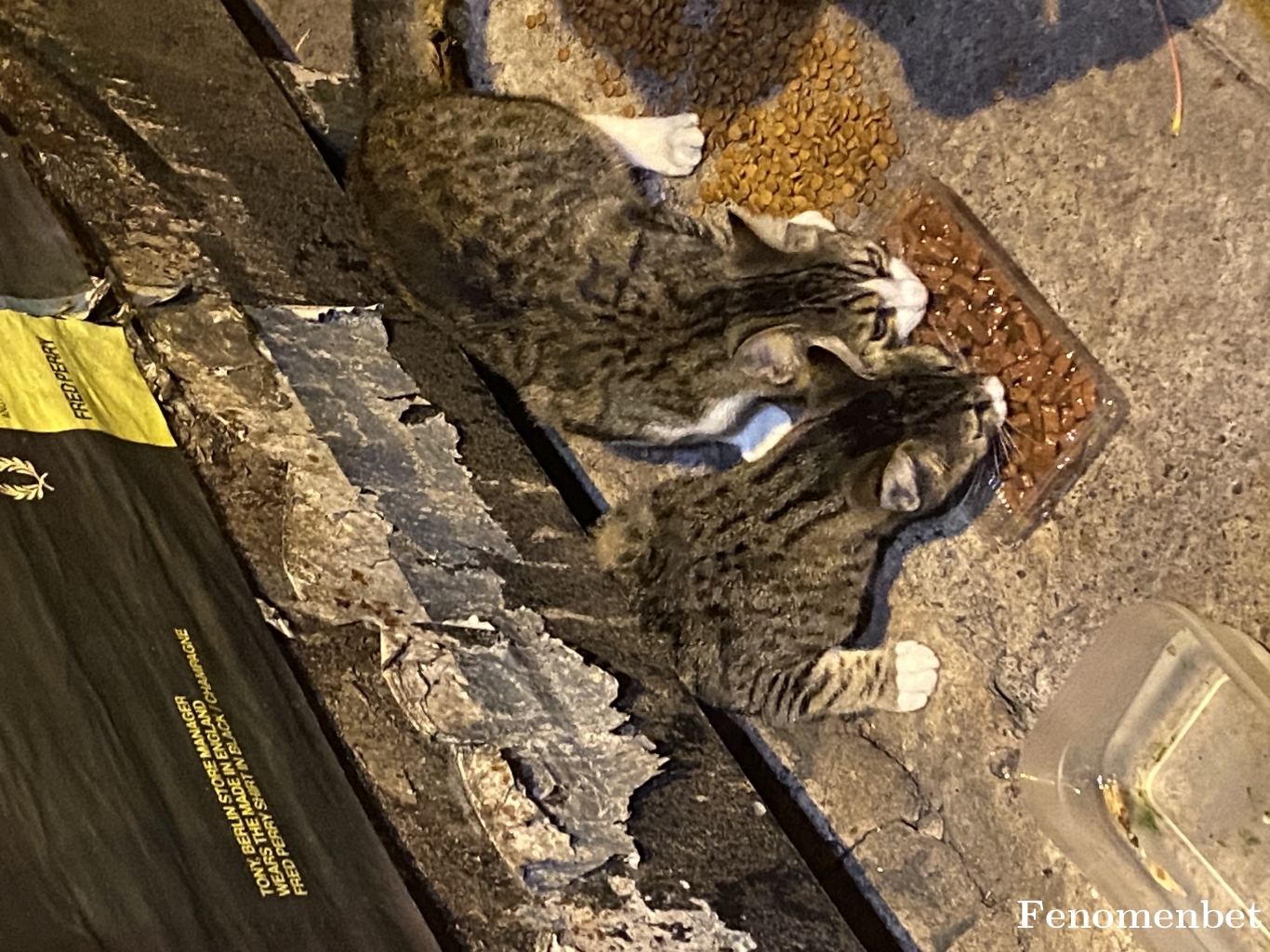 betisis tarafından paylaşıldı