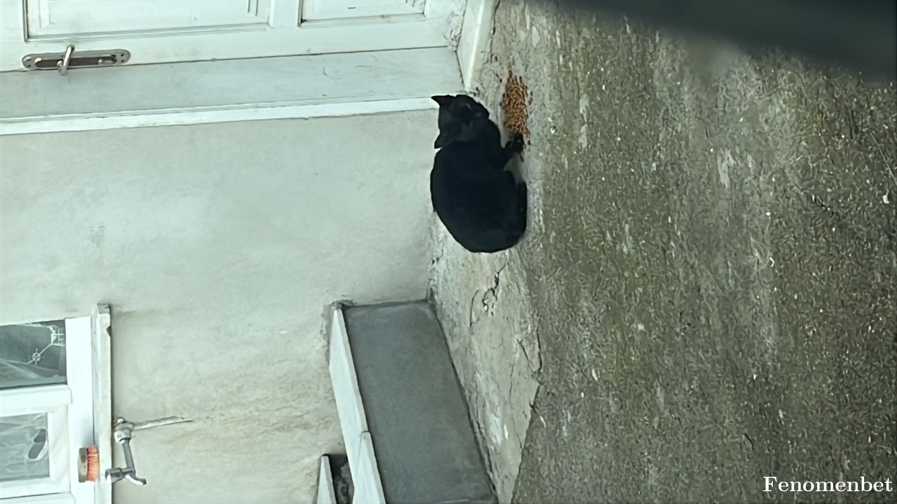 canf53 tarafından paylaşıldı