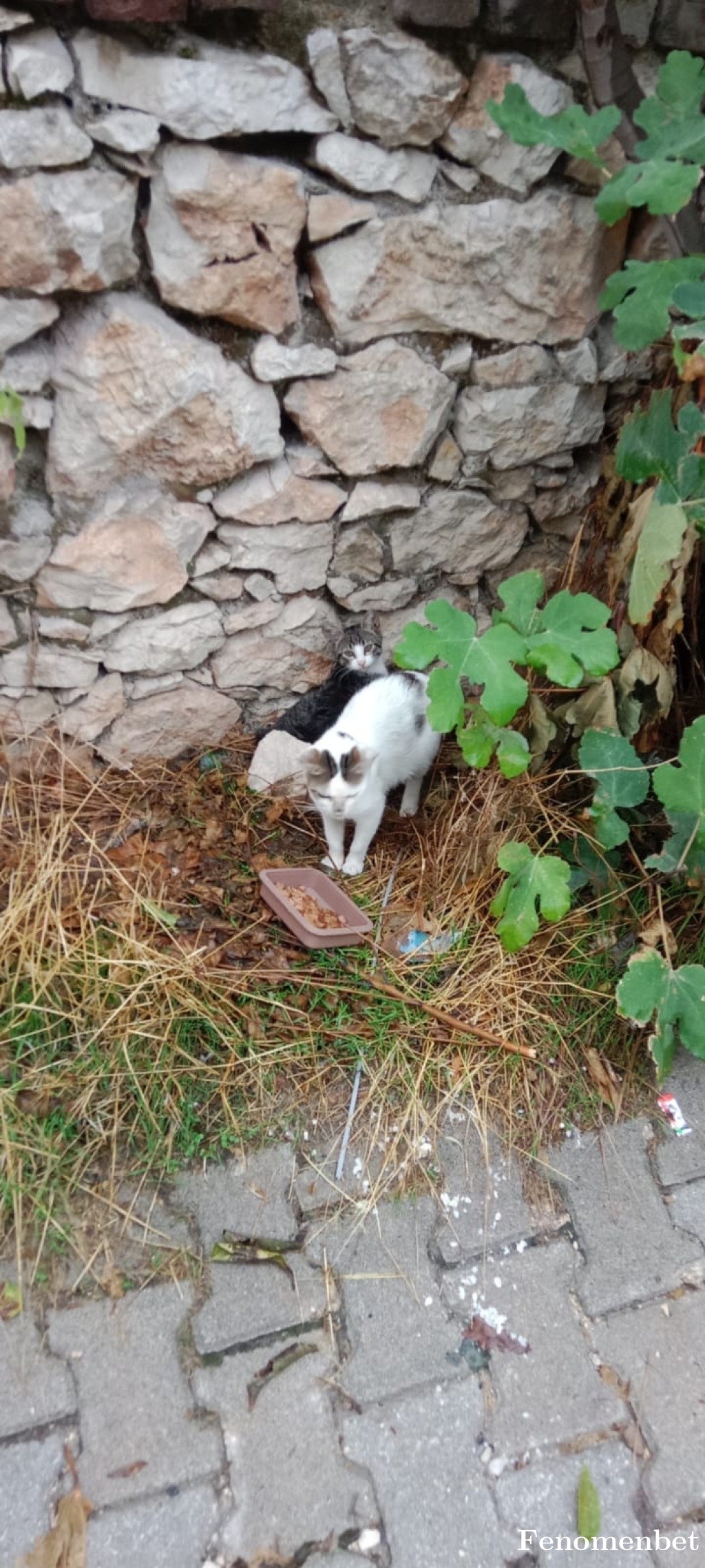 Gul0202 tarafından paylaşıldı