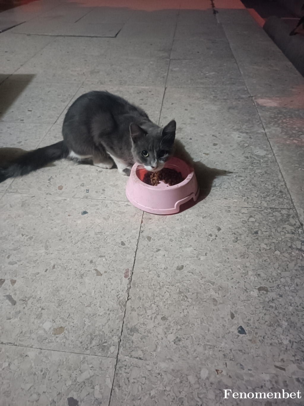 Muratgzc tarafından paylaşıldı