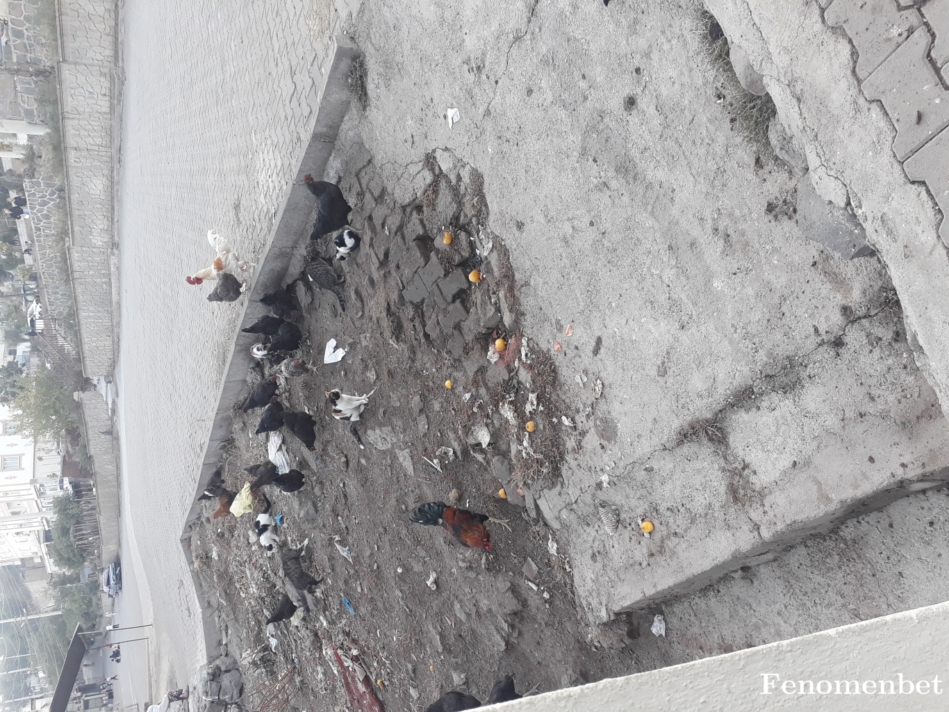 Muratk2134M tarafından paylaşıldı