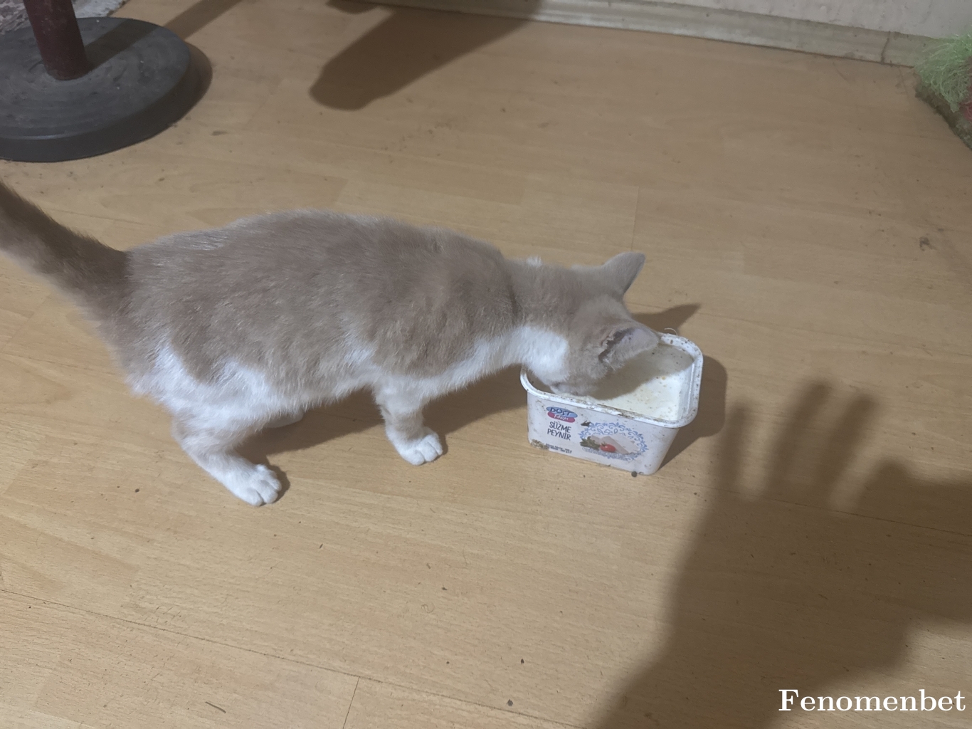 Musa111 tarafından paylaşıldı